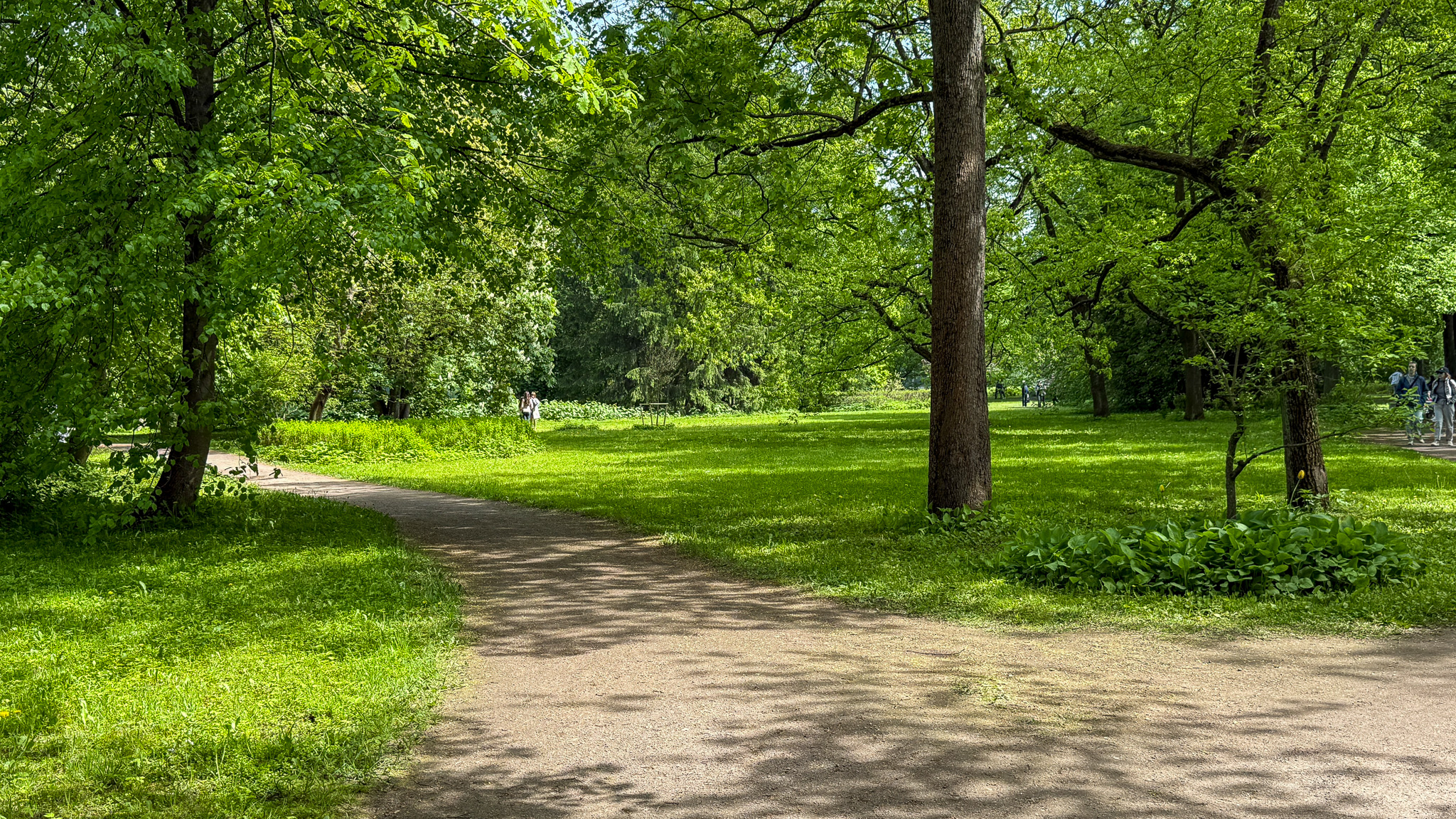Фотография объекта