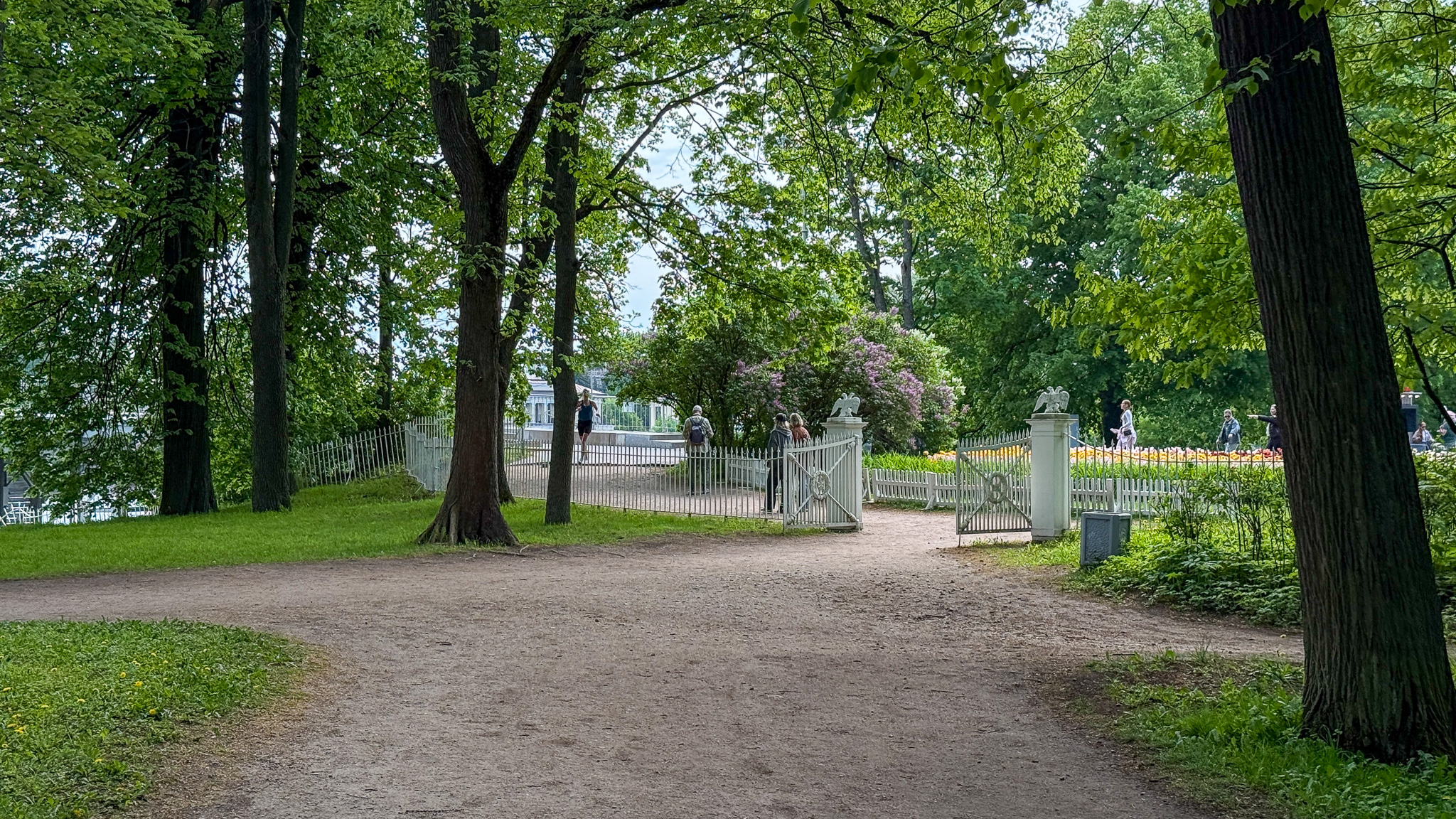 Фотография объекта