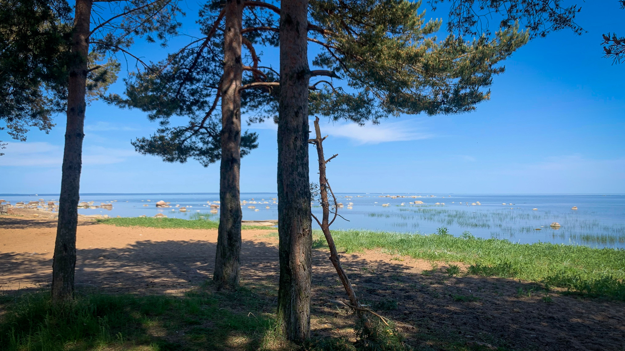 Фотография объекта