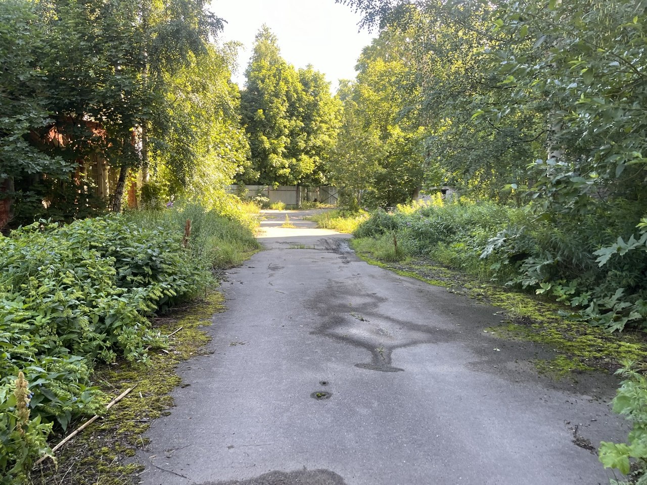 Фотография объекта