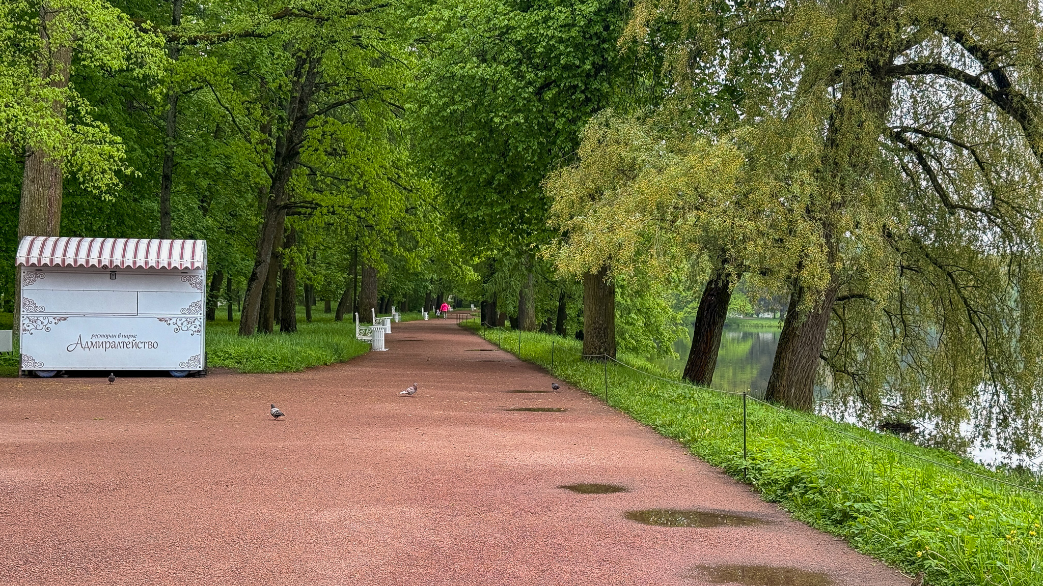 Фотография объекта