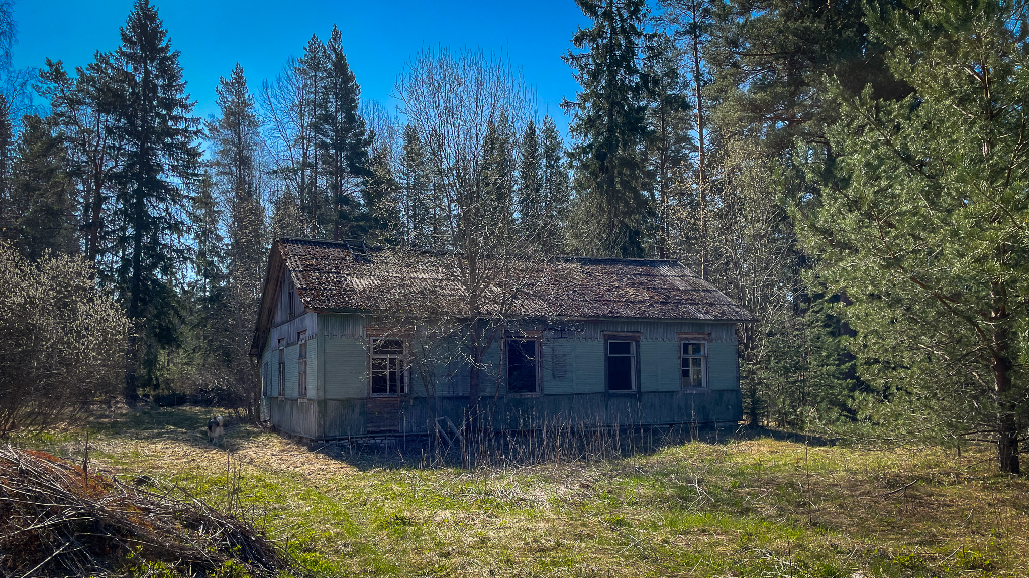 Фотография объекта