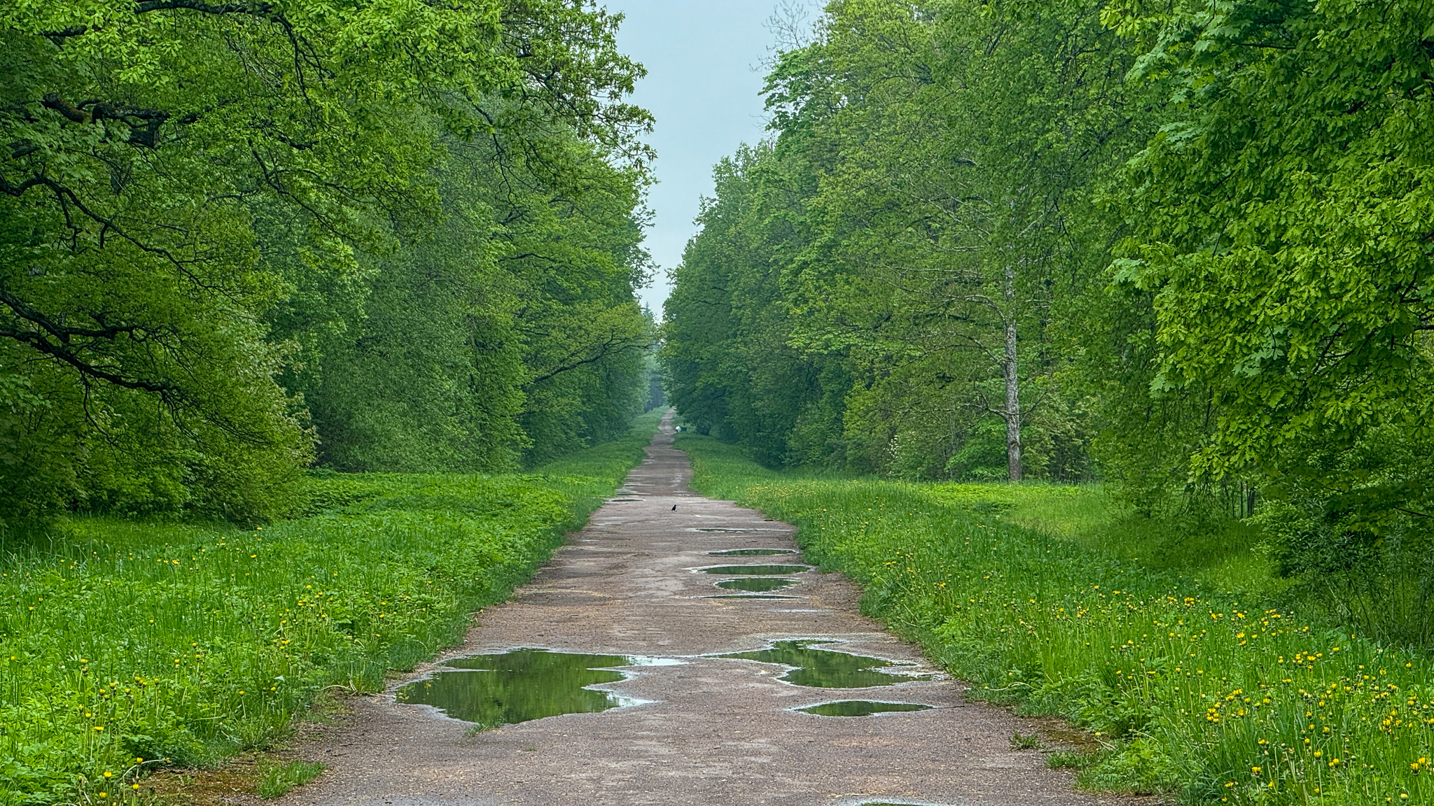Фотография объекта