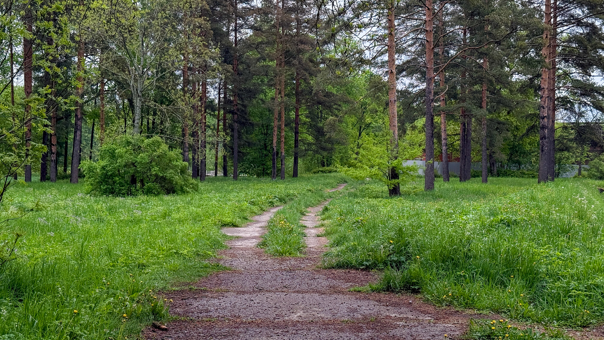 Фотография объекта