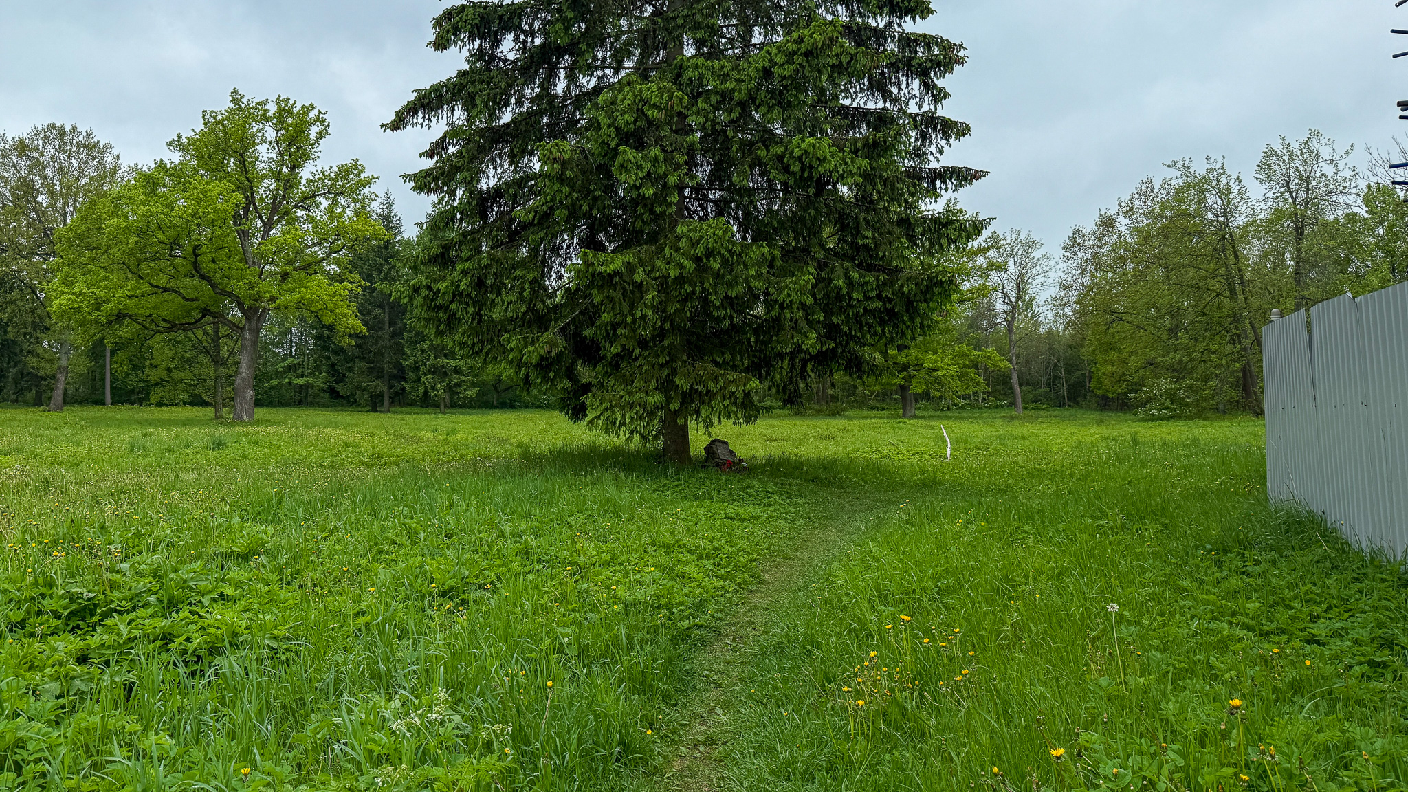 Фотография объекта