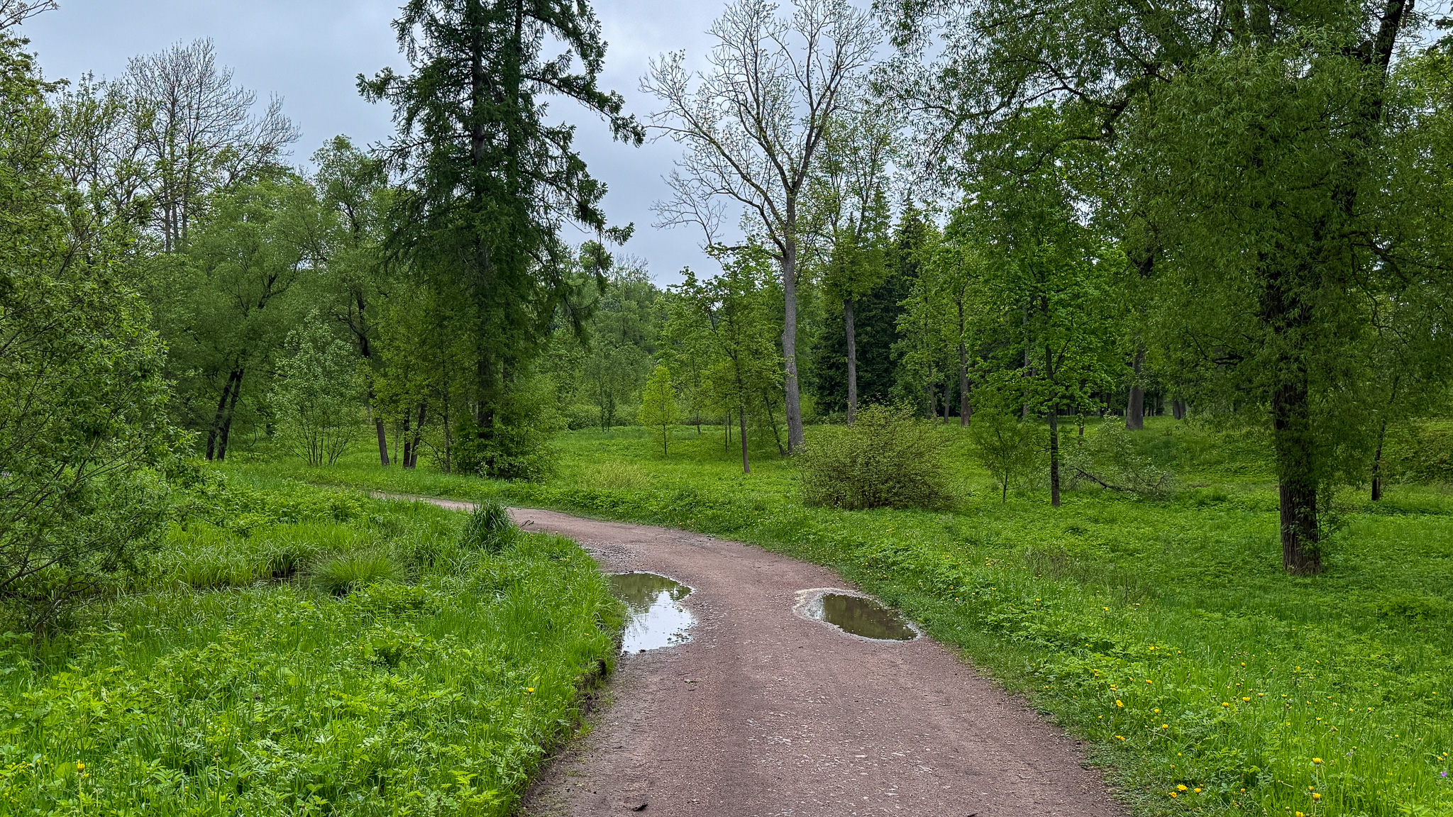 Фотография объекта