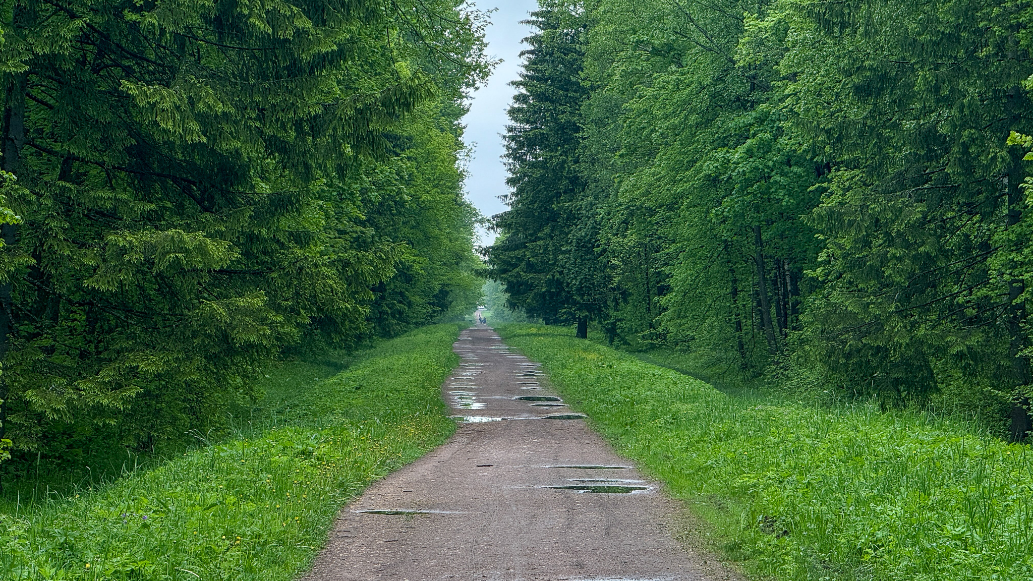Фотография объекта