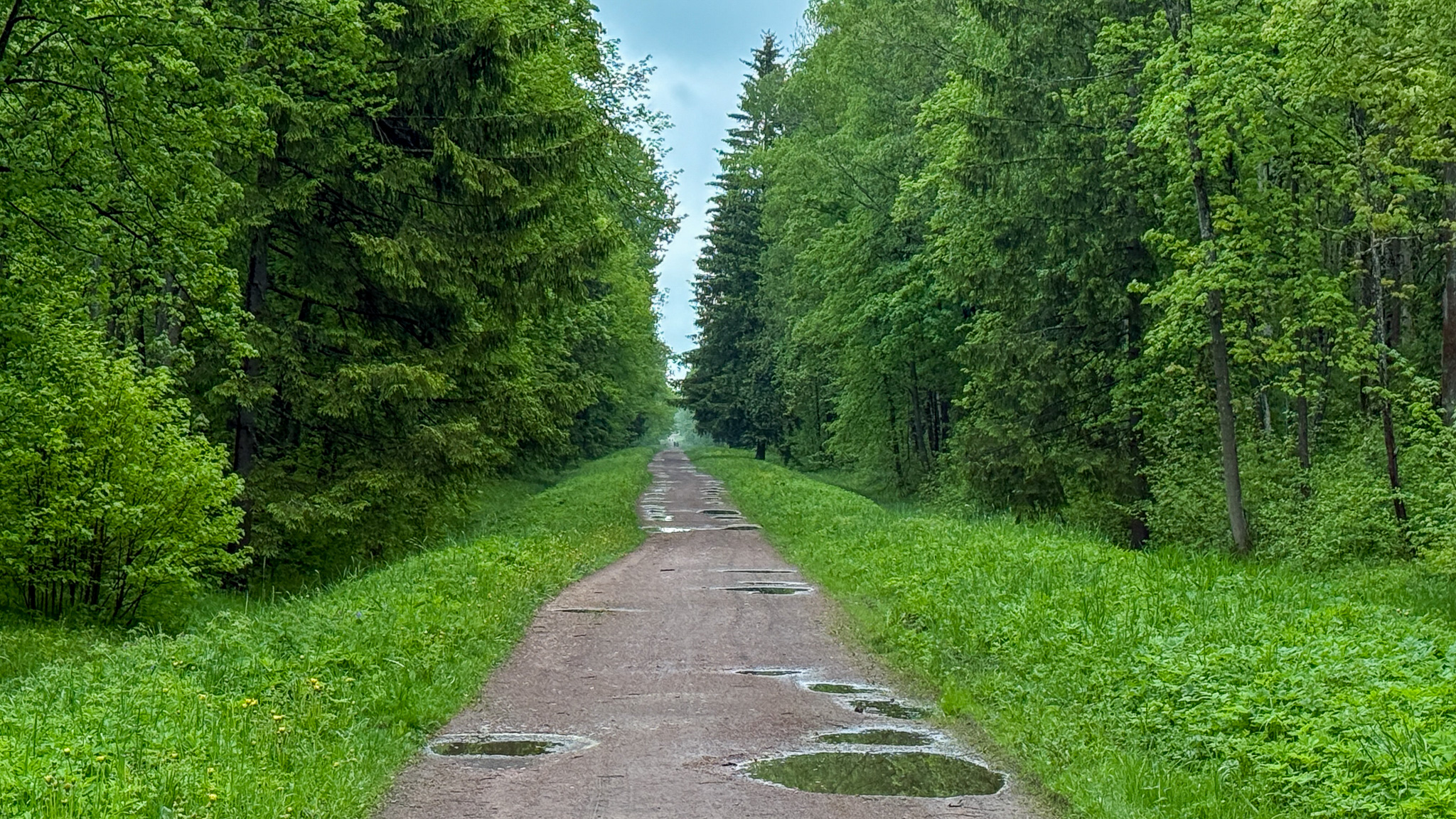 Фотография объекта