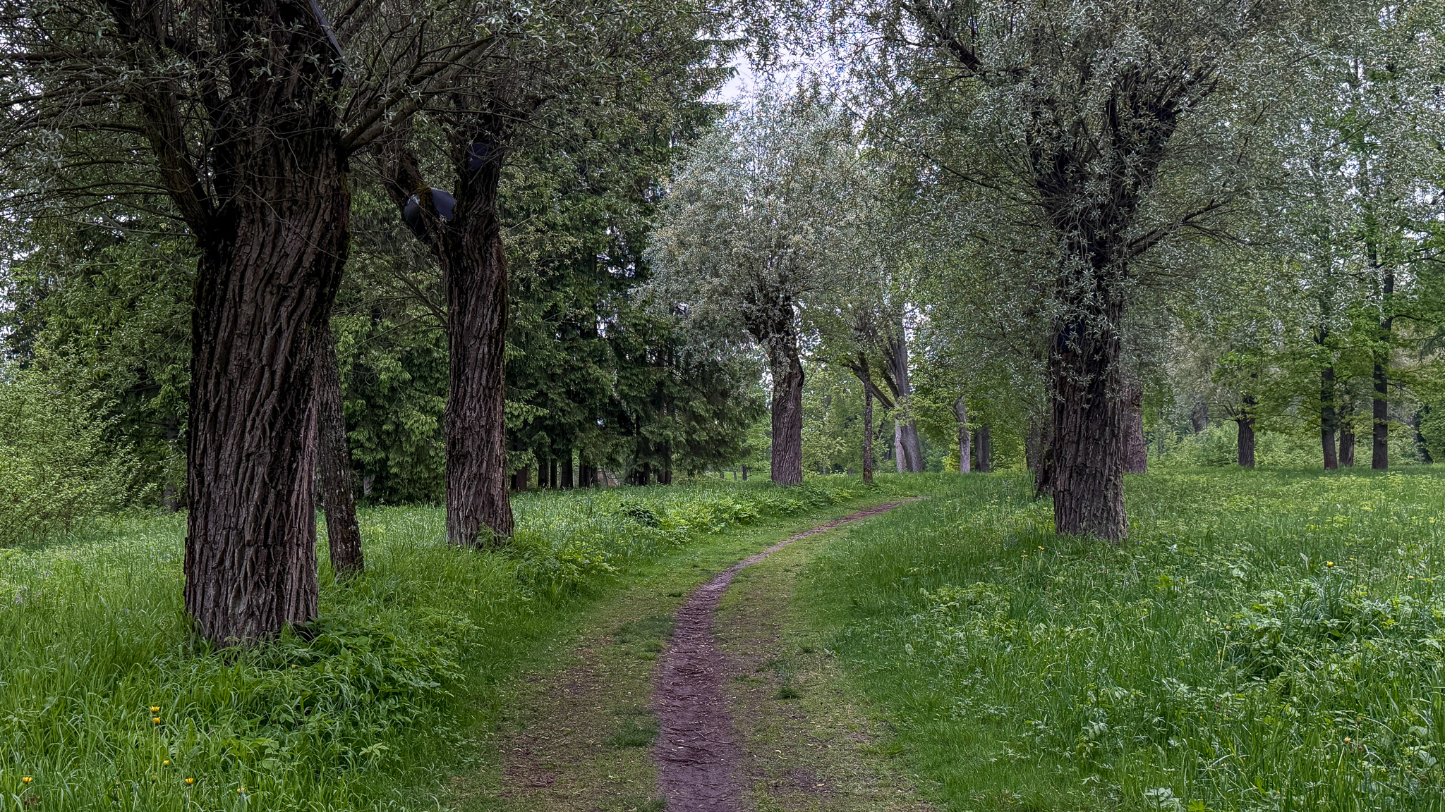 Фотография объекта