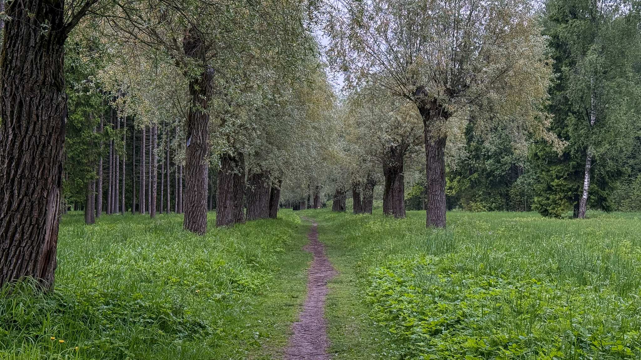 Фотография объекта