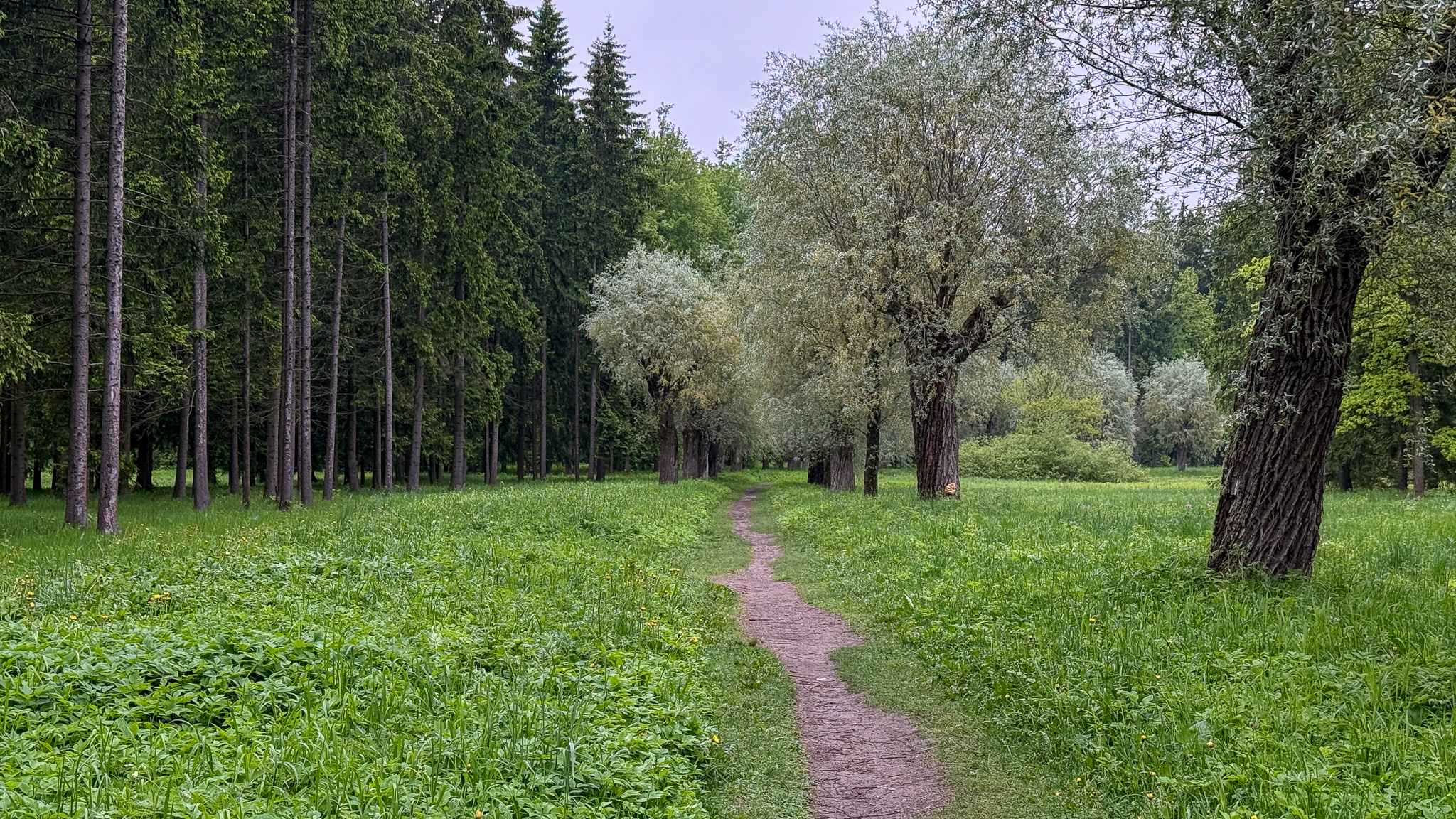 Фотография объекта