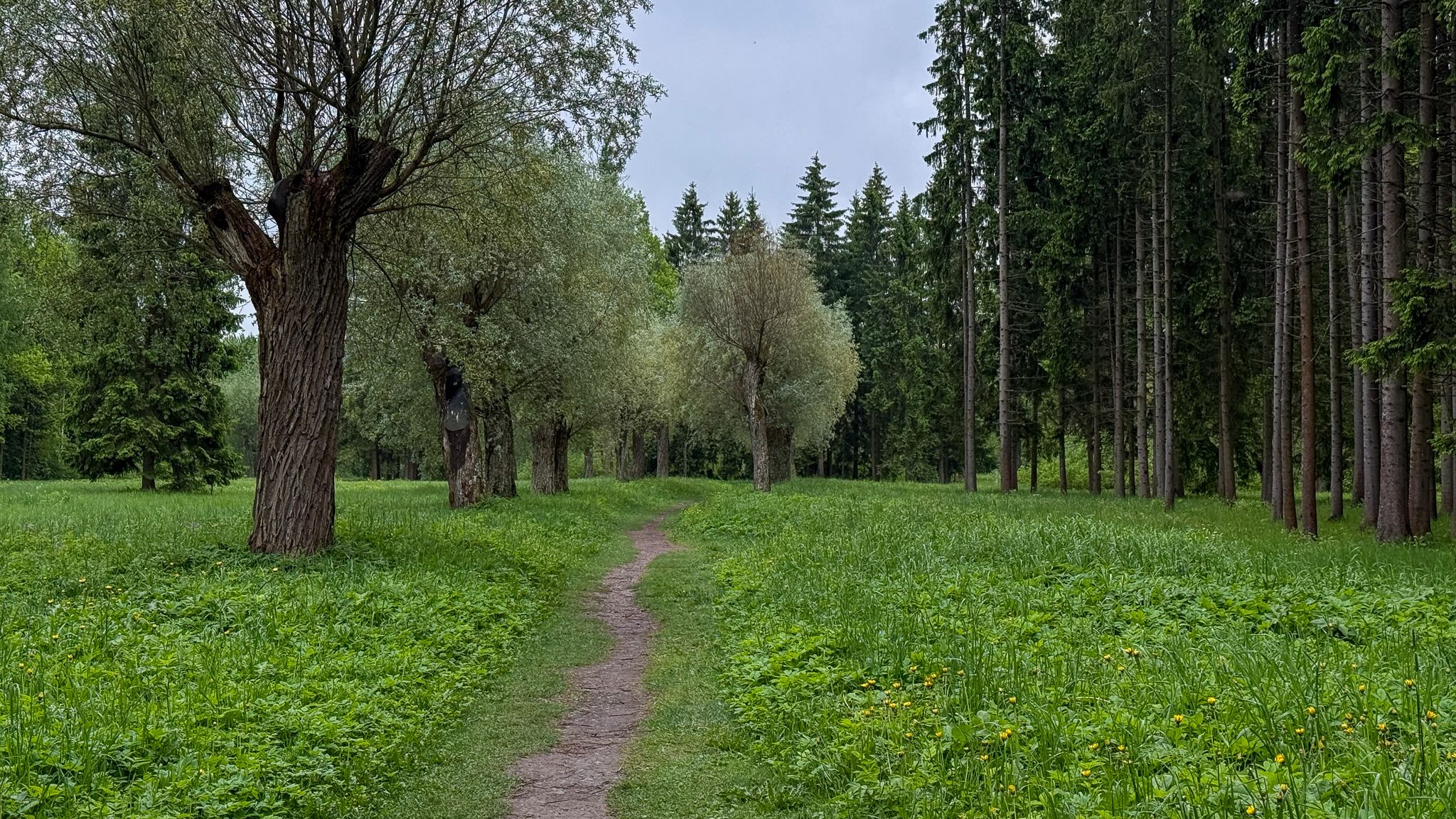 Фотография объекта