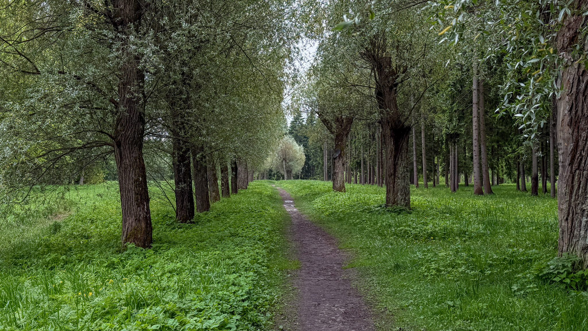 Фотография объекта