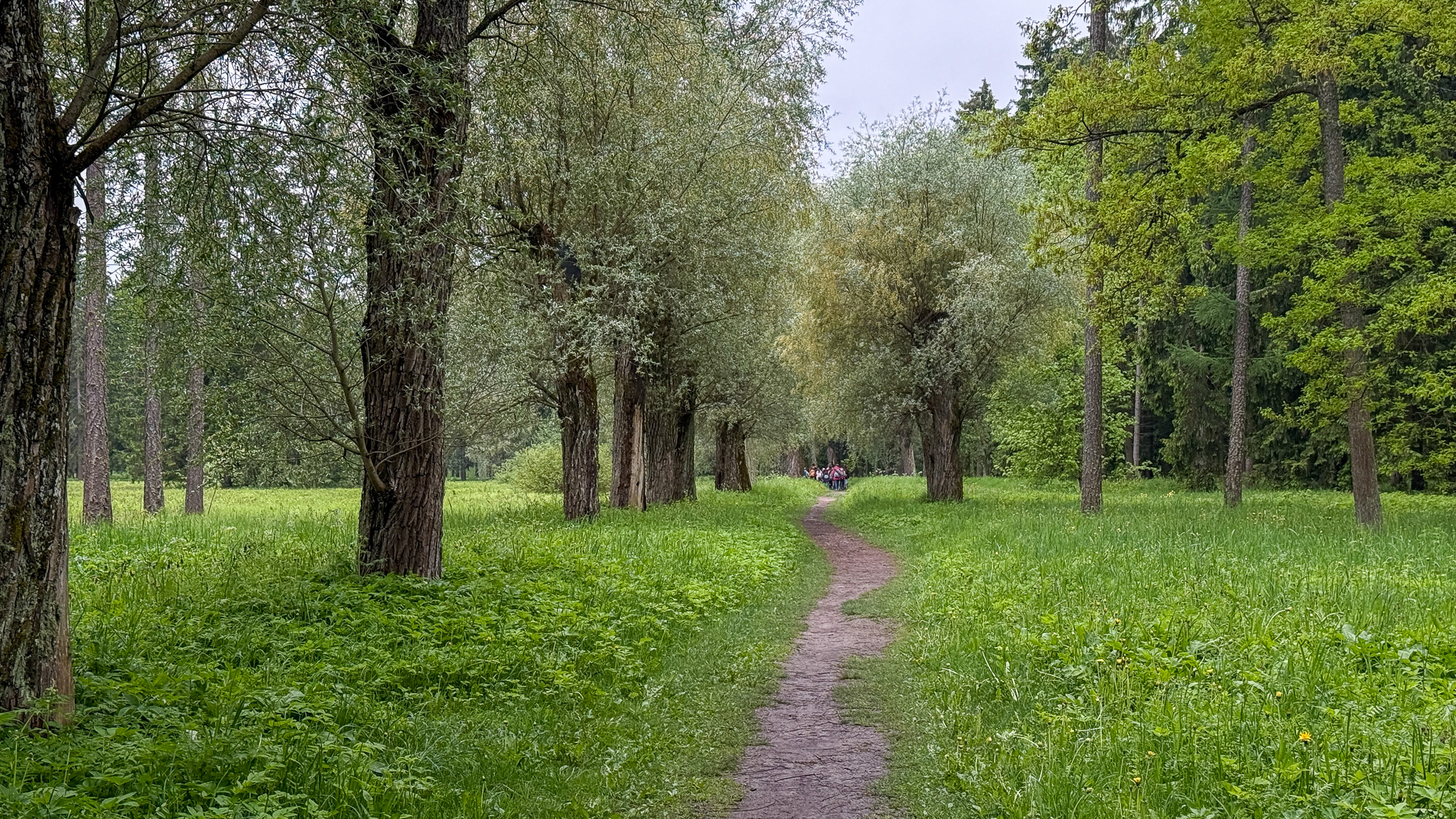 Фотография объекта