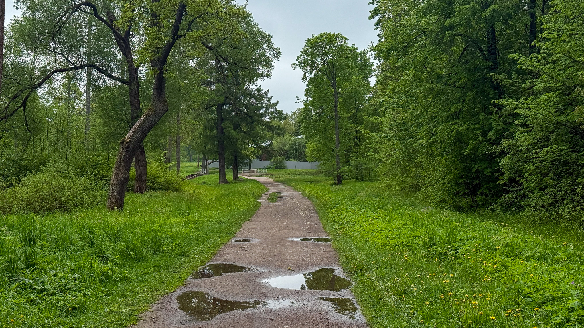 Фотография объекта