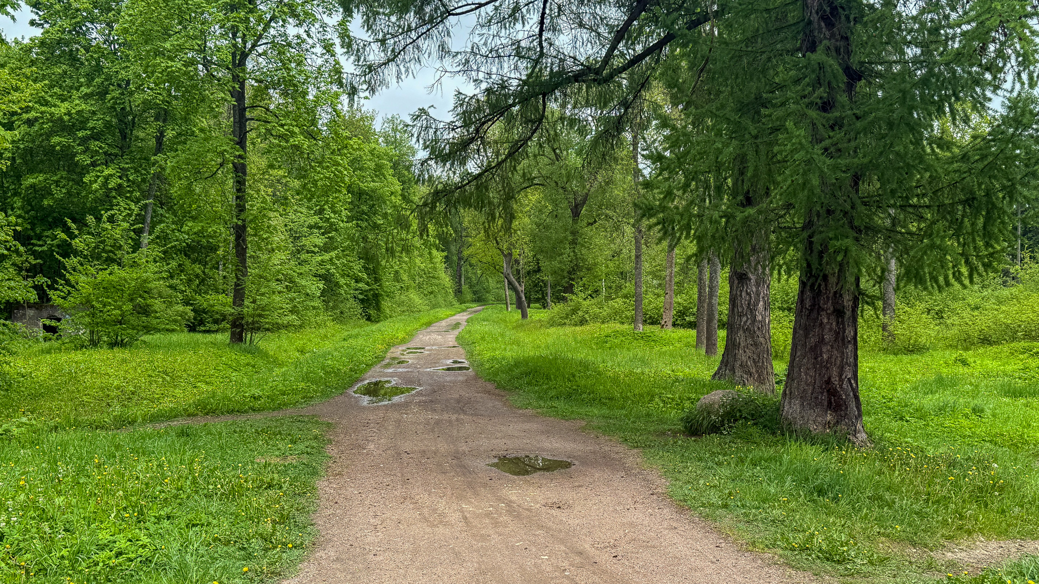 Фотография объекта