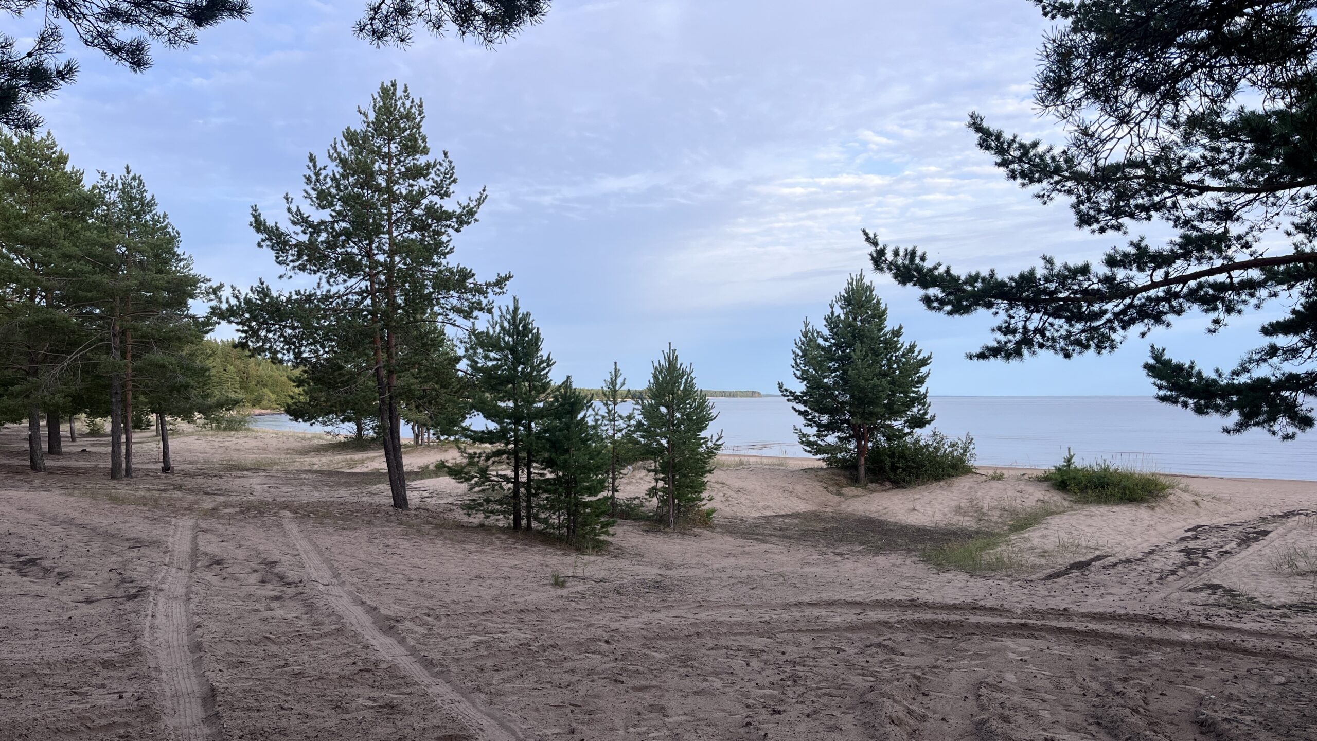 Фотография объекта
