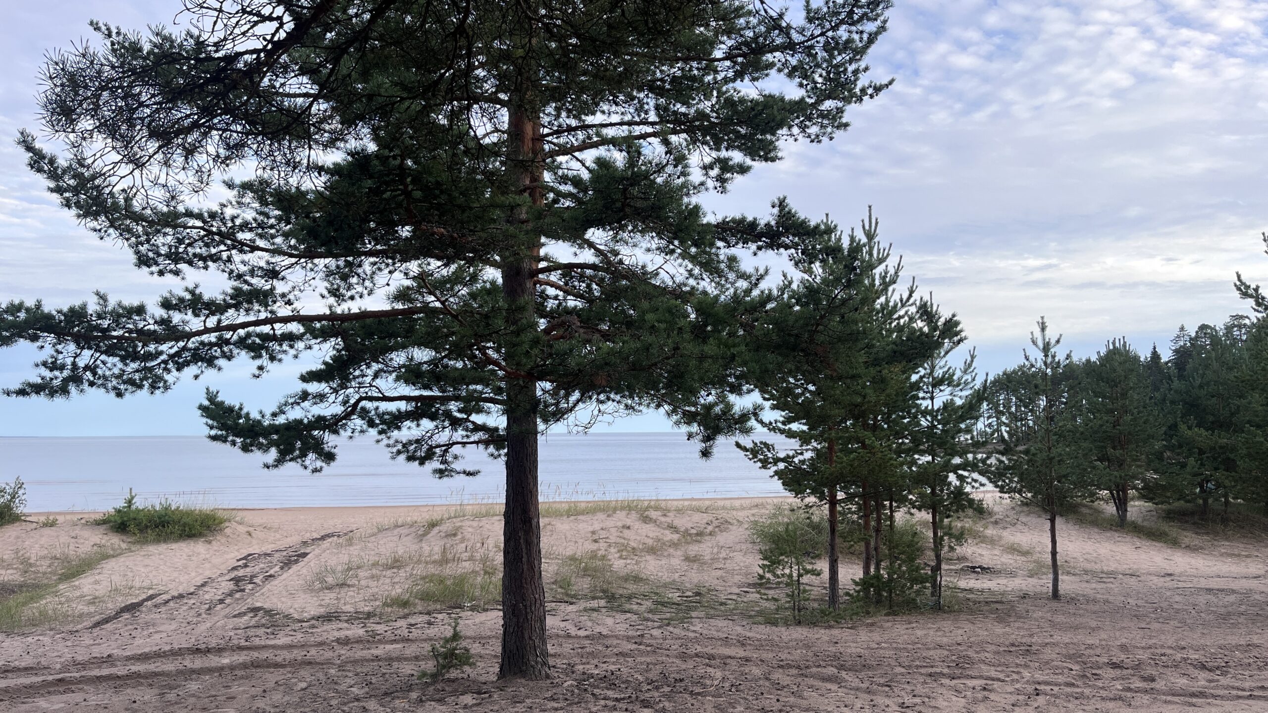 Фотография объекта