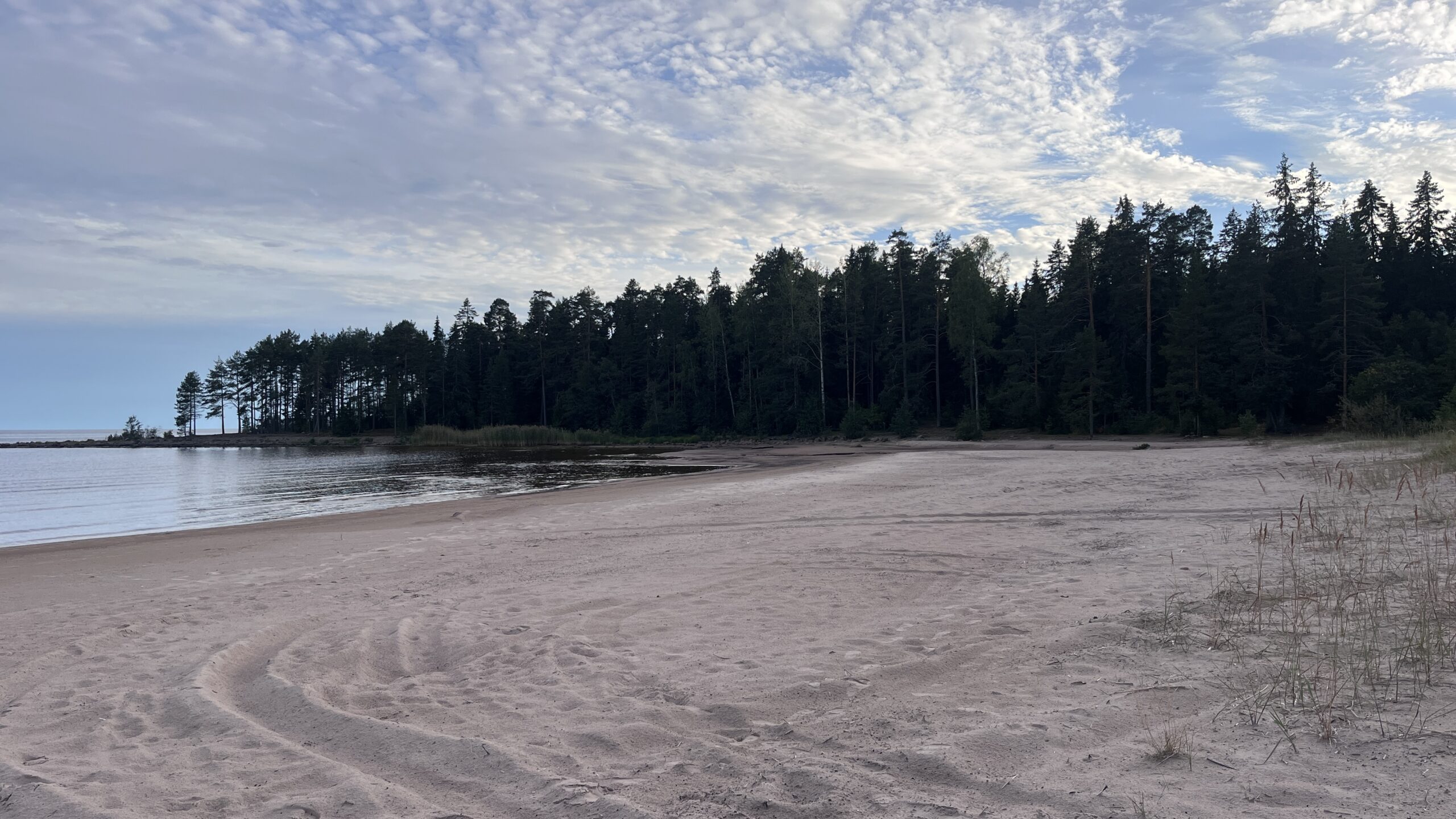 Фотография объекта