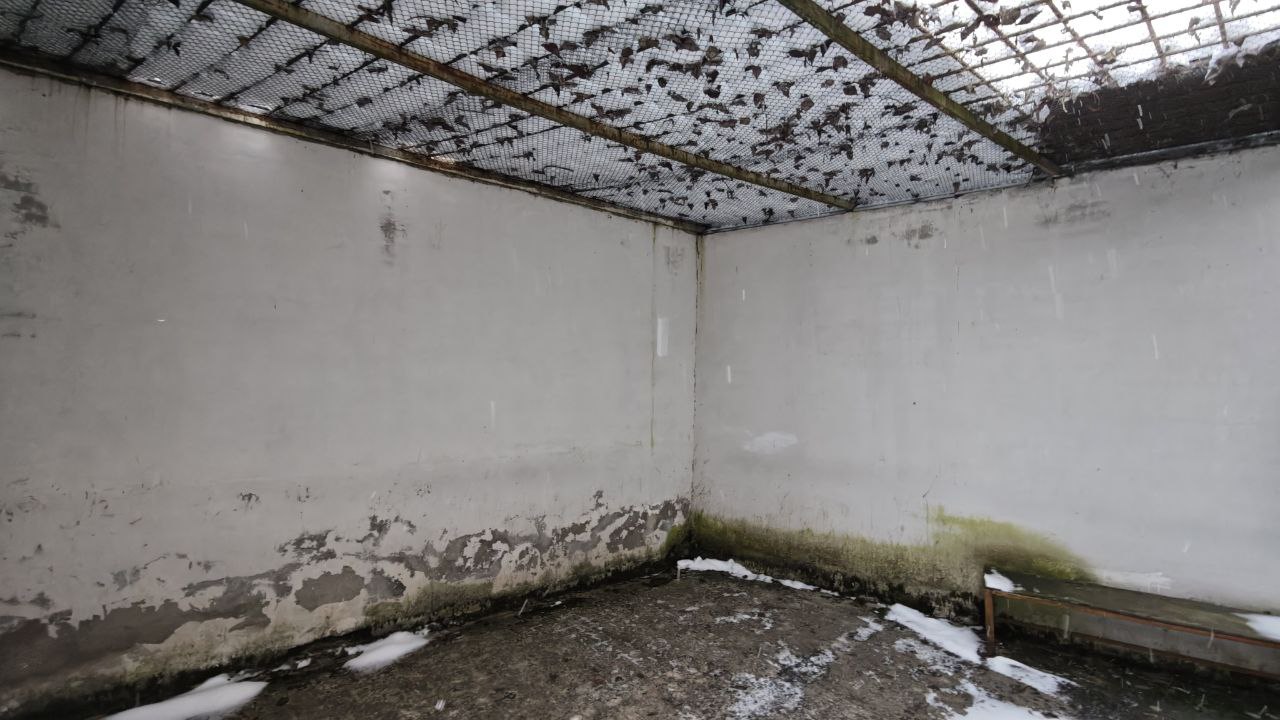 Фотография объекта