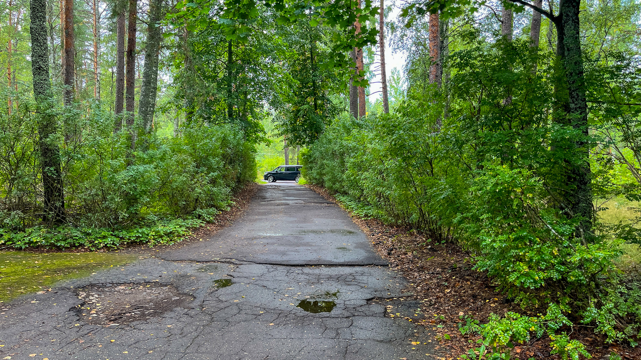 Фотография объекта
