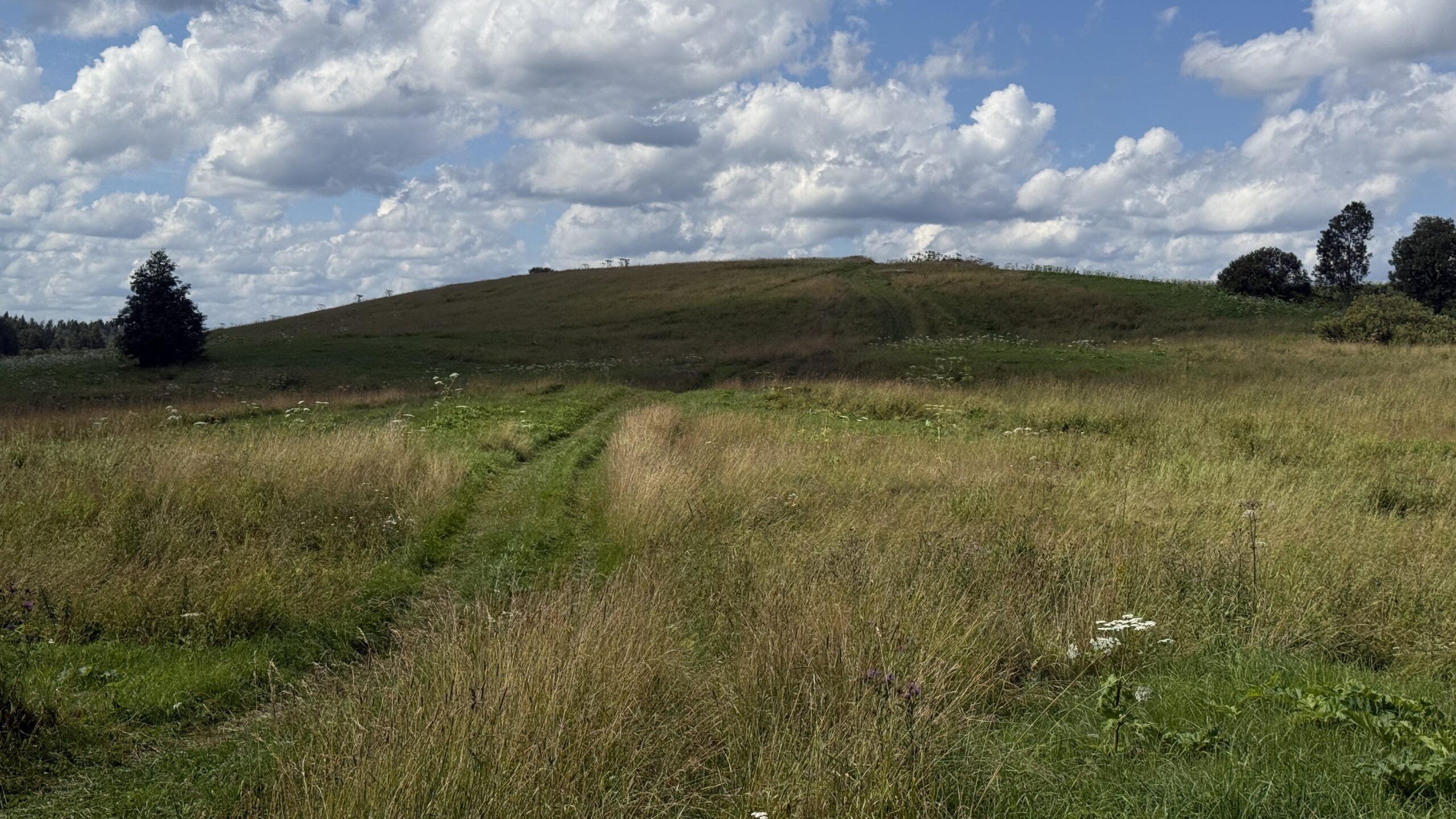 Фотография объекта
