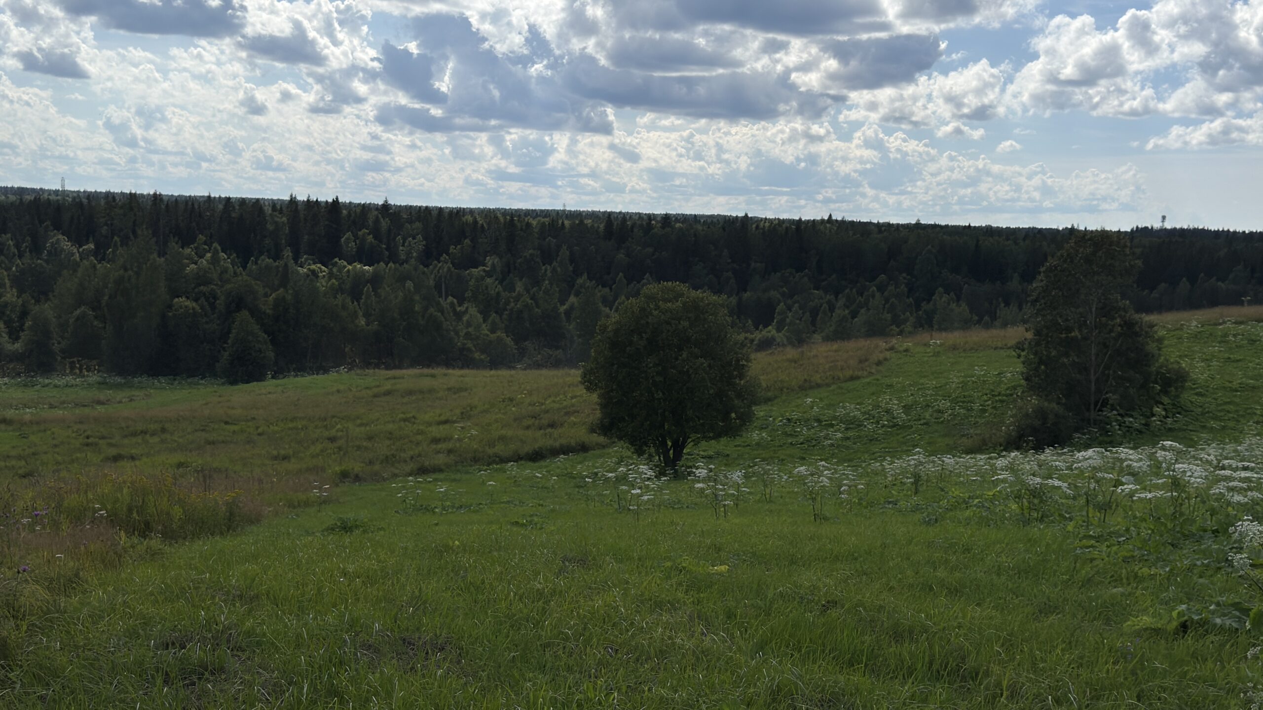 Фотография объекта