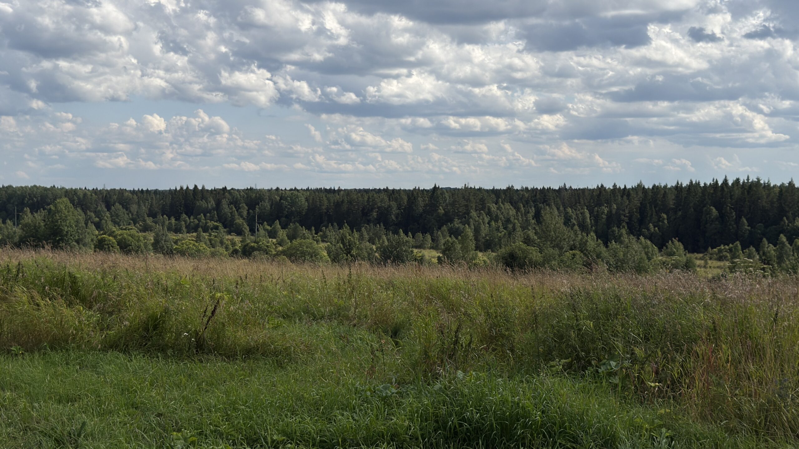 Фотография объекта